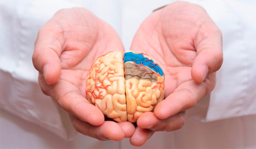 neuropsicologia
